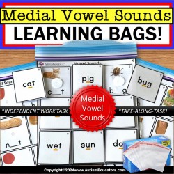 Medial Vowel Sounds Learning Bag for Special Education and Autism